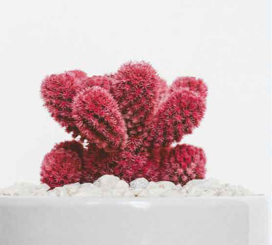 秋思短信轰炸平台